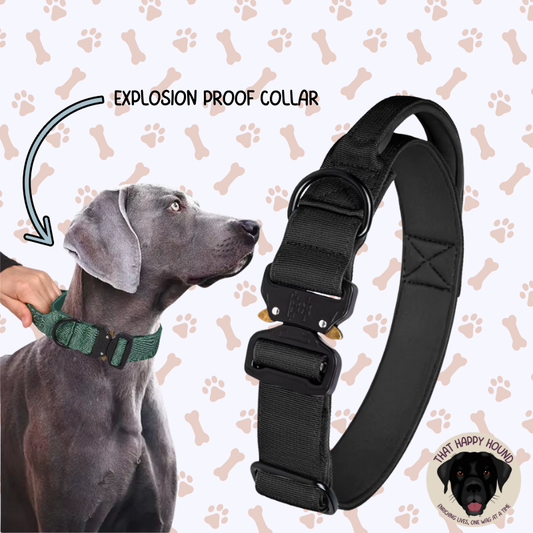 That Power Paw - Tactical dog collar