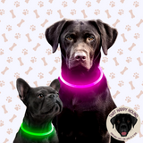 ThatHappy Hound -LED Light Collar