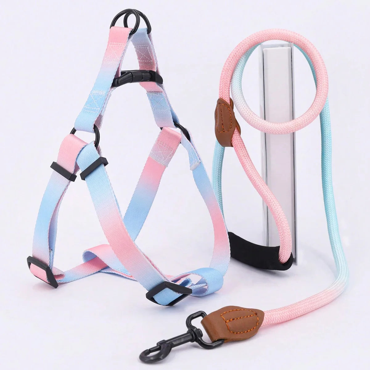 That Pastel Harness and Lead combo